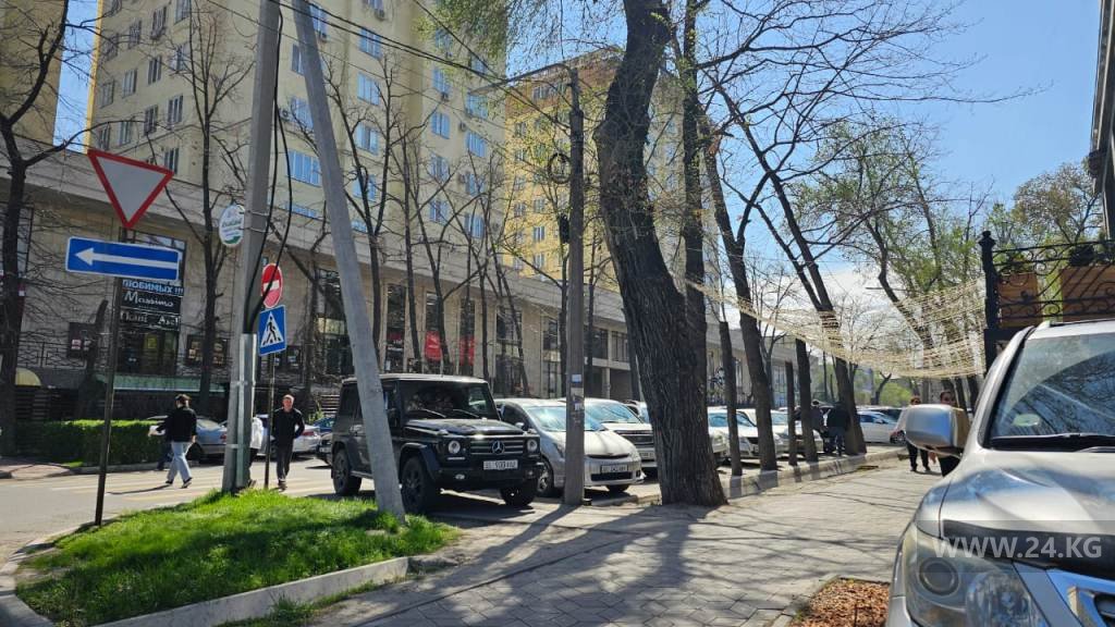 Чудаки парковки