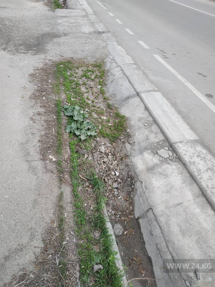 Арыки в Бишкеке