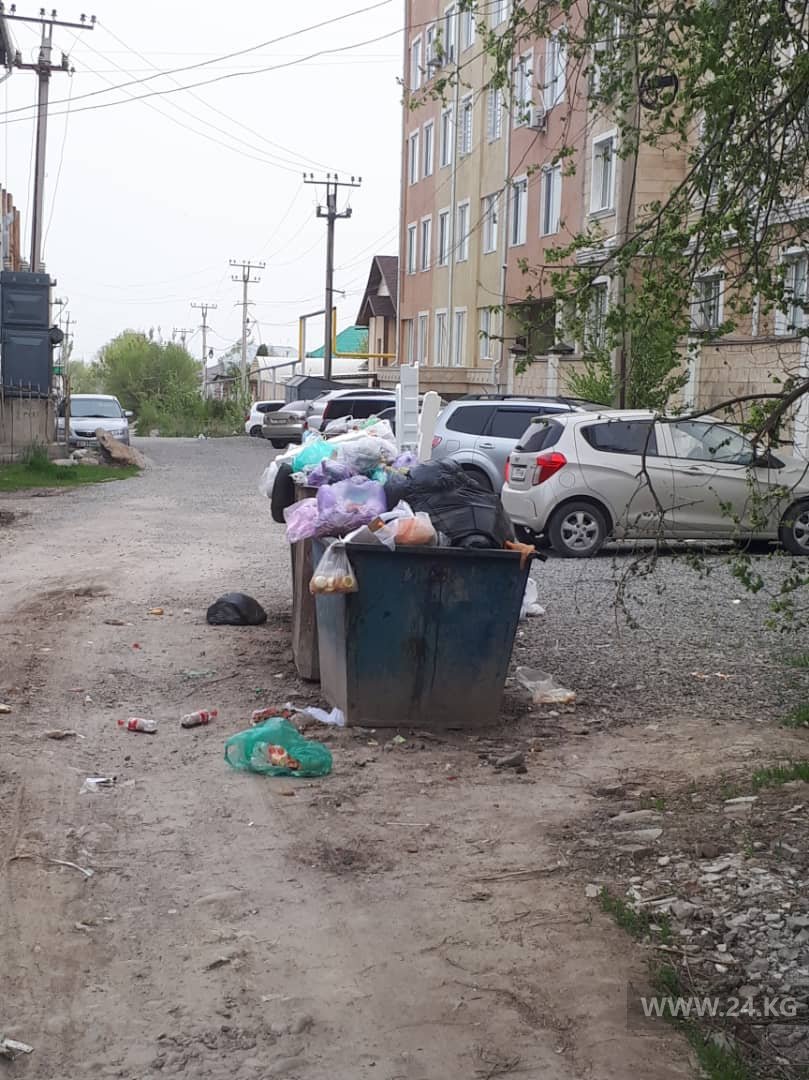 Улица Мадиева в селе Кок-Жар