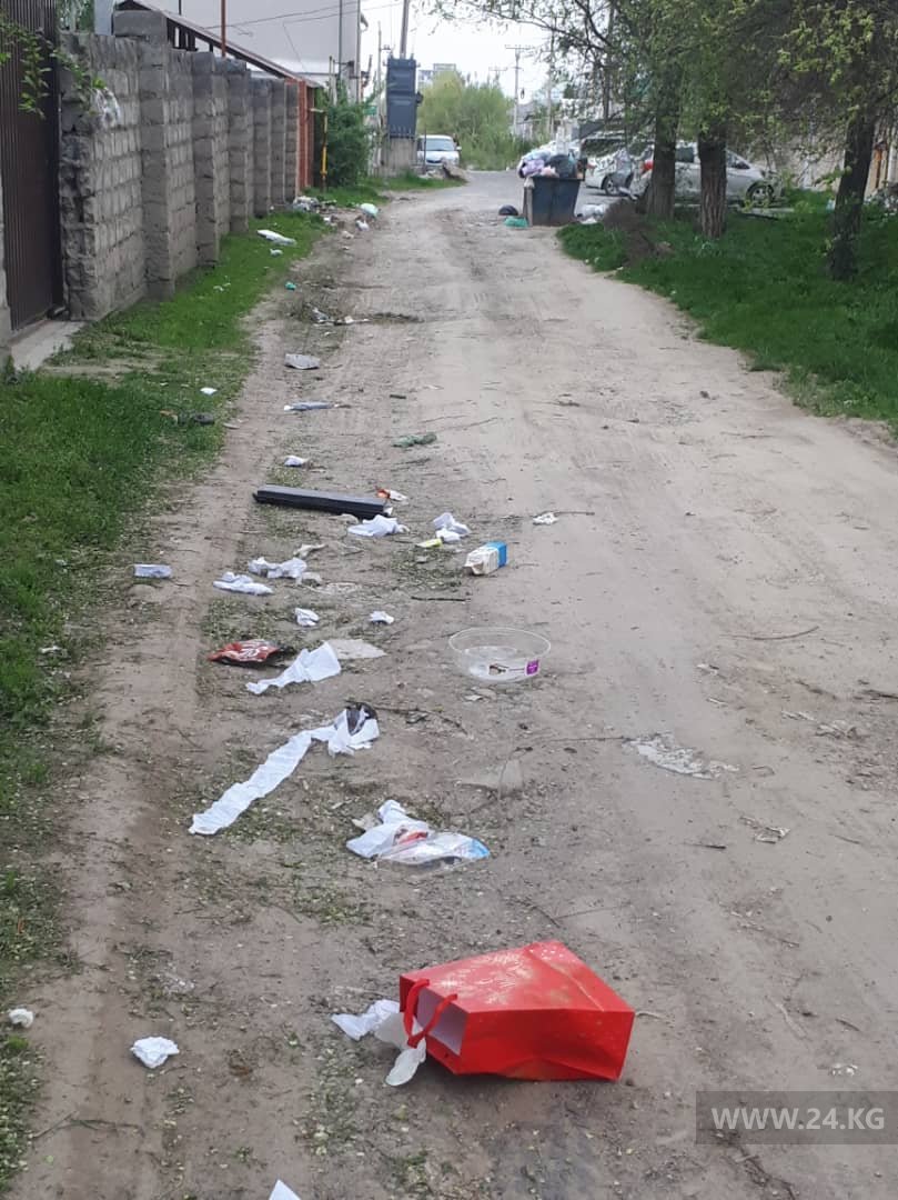 Улица Мадиева в селе Кок-Жар