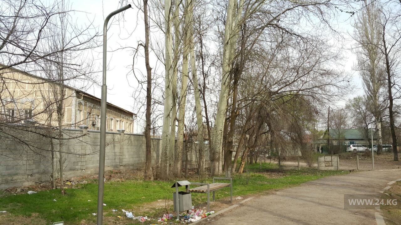 Парк в Сокулуке