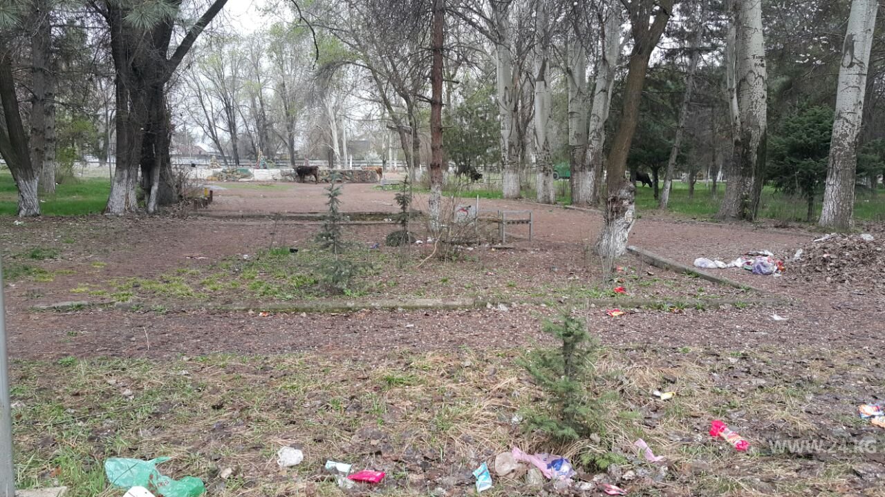 Парк в Сокулуке