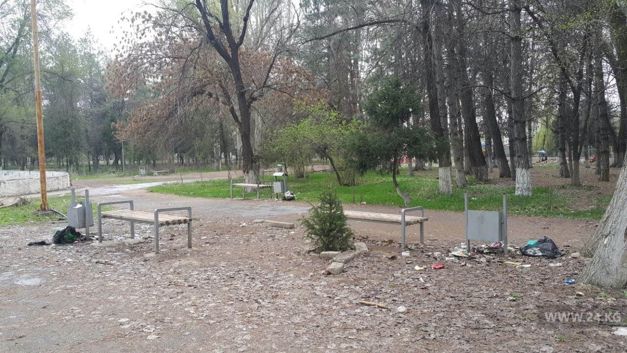 Парк в Сокулуке