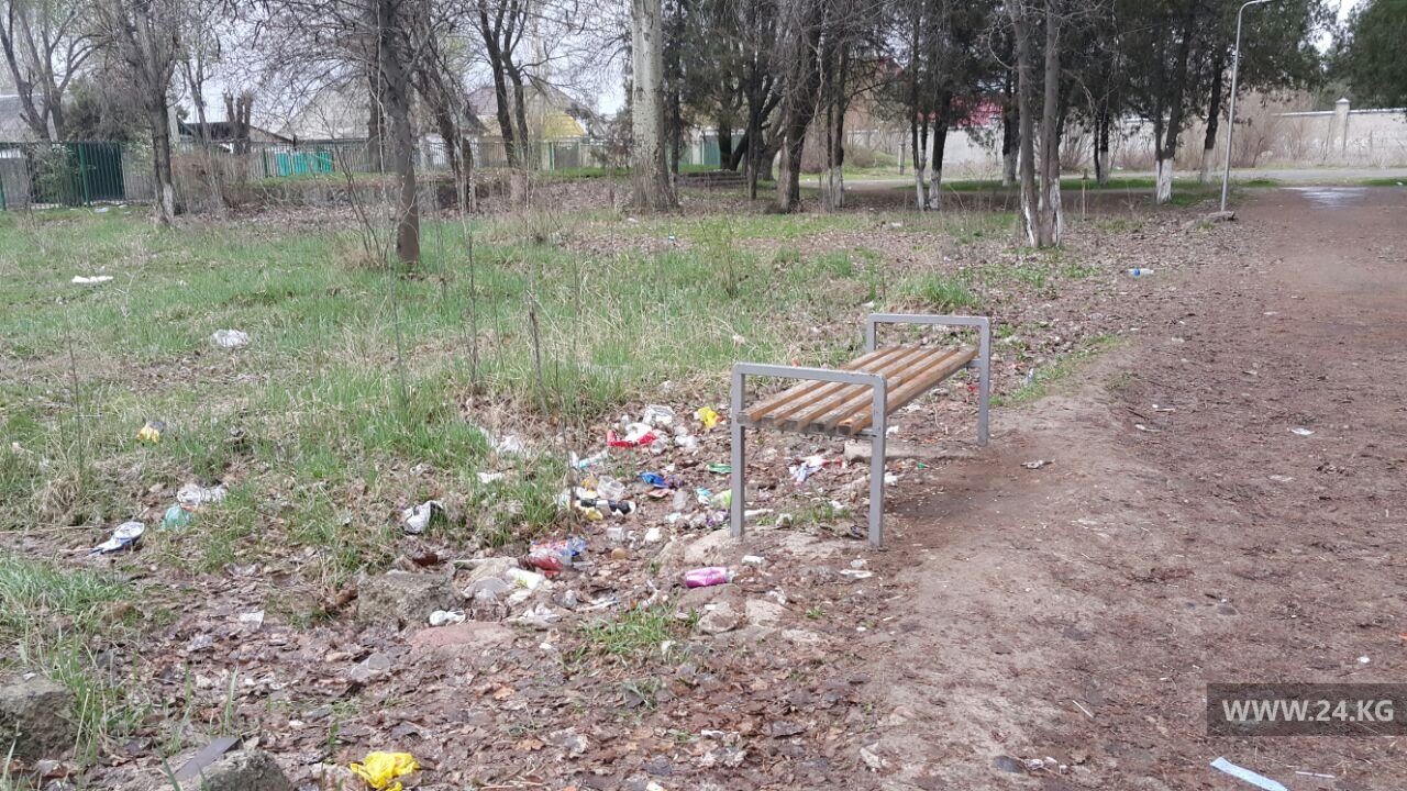 Парк в Сокулуке
