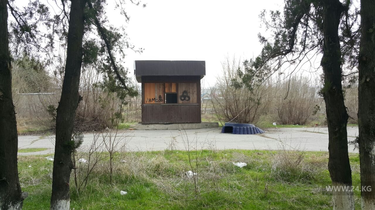 Парк в Сокулуке