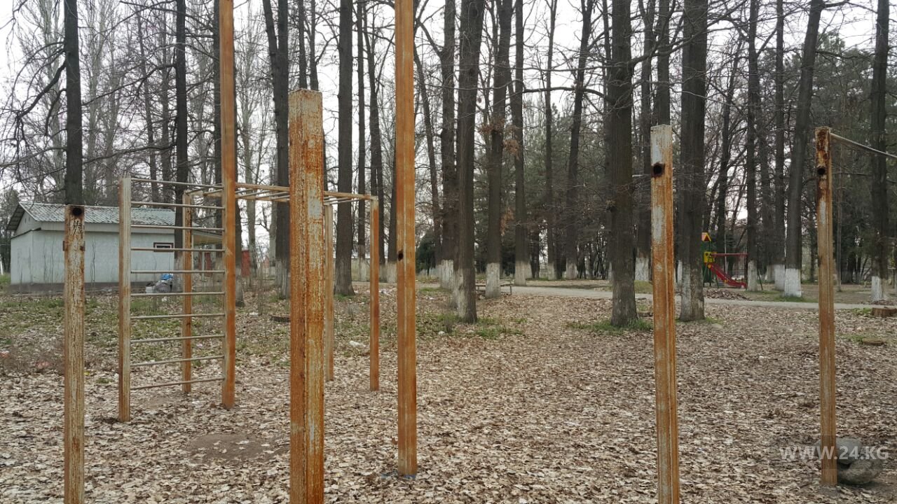 Парк в Сокулуке