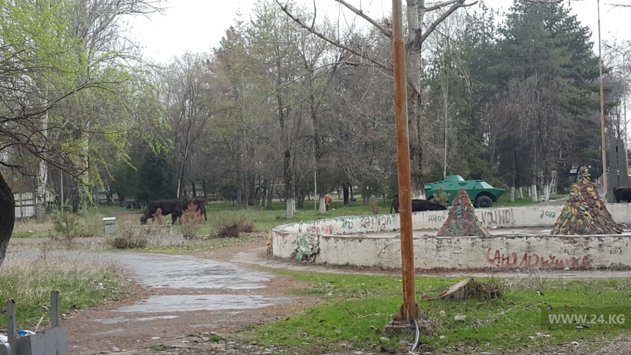 Парк в Сокулуке