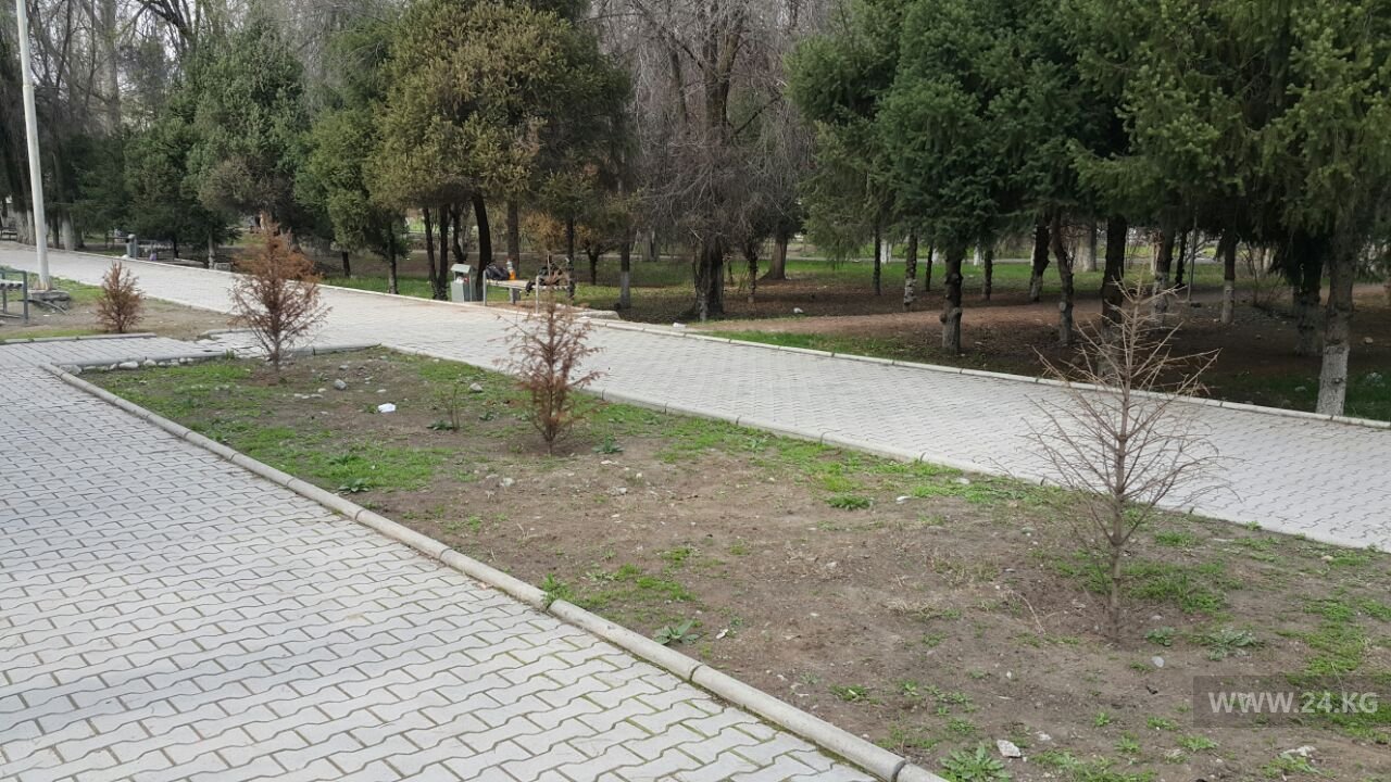 Парк в Сокулуке