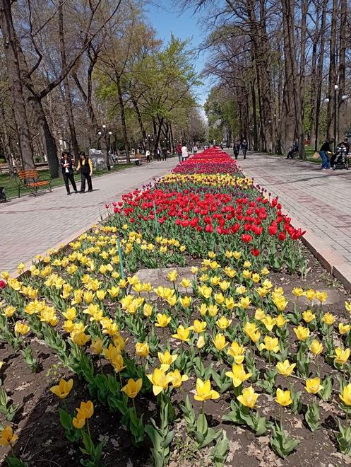 Весна в Бишкеке