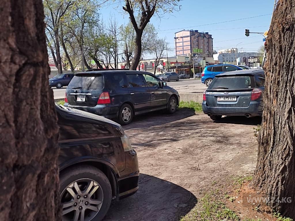 Чудаки парковки