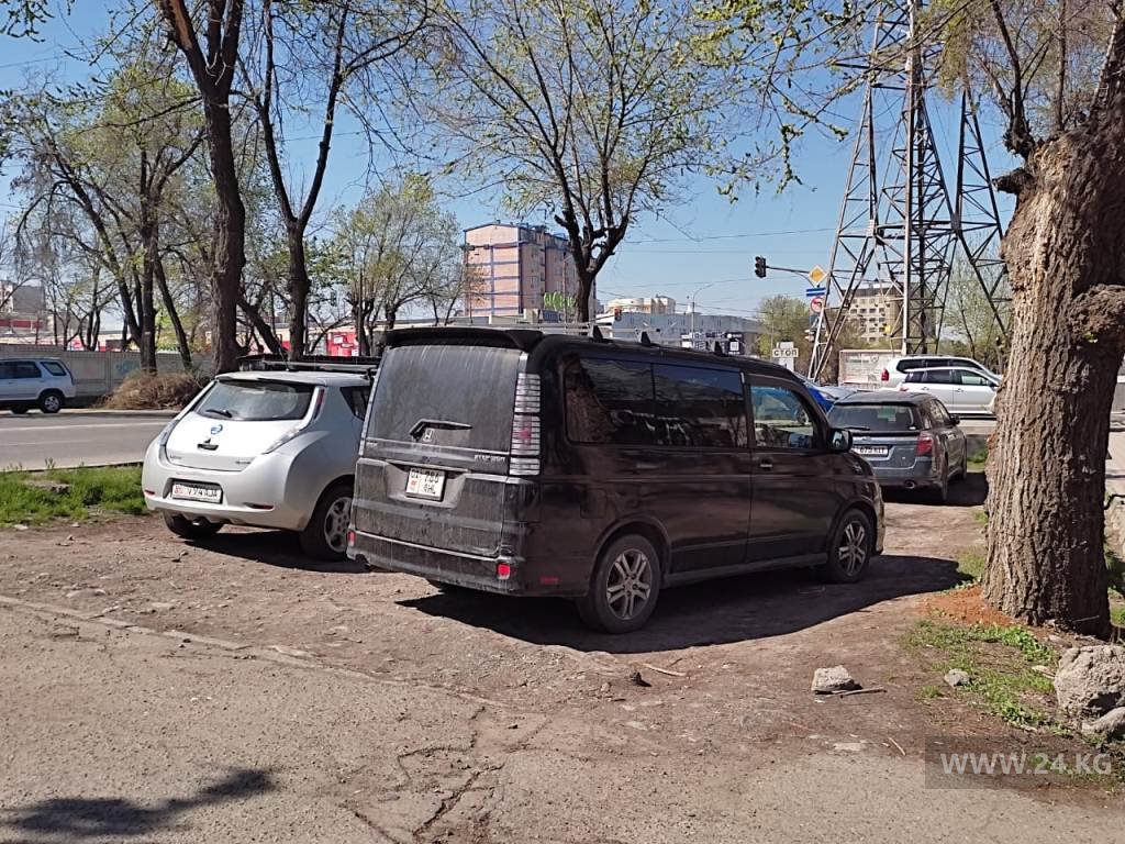 Чудаки парковки