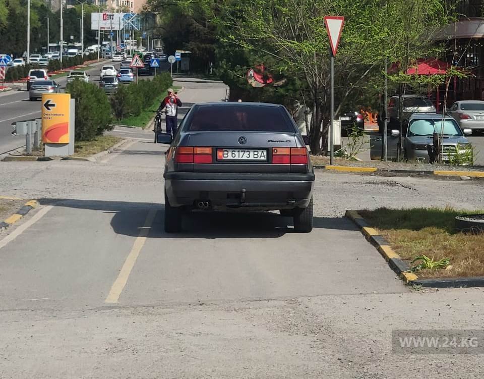 Чудаки парковки