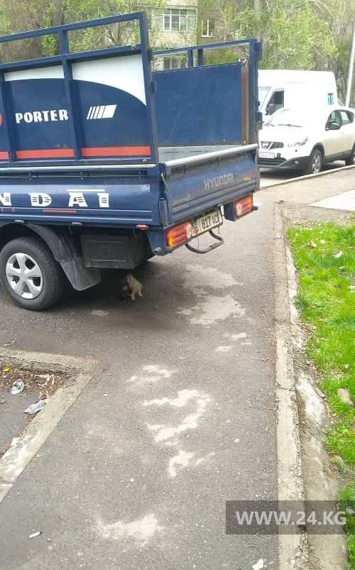Чудаки парковки