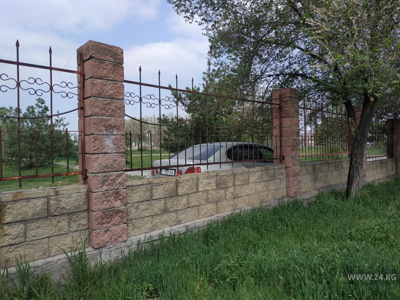 Чудаки парковки