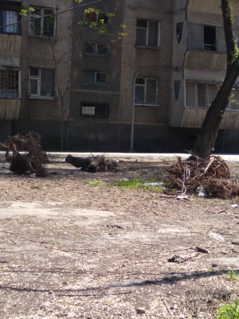 Сквер на улице Тимирязева