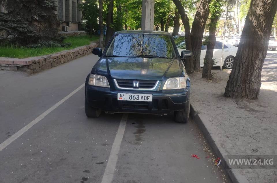 Чудаки парковки