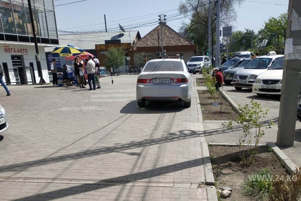 Чудаки парковки