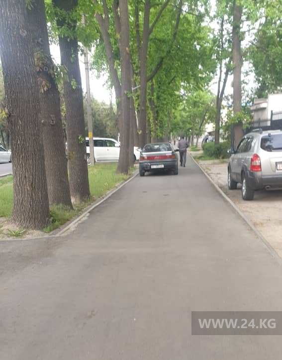 Чудаки парковки