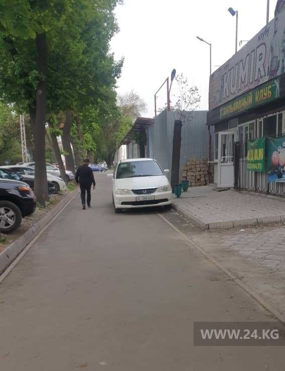 Чудаки парковки