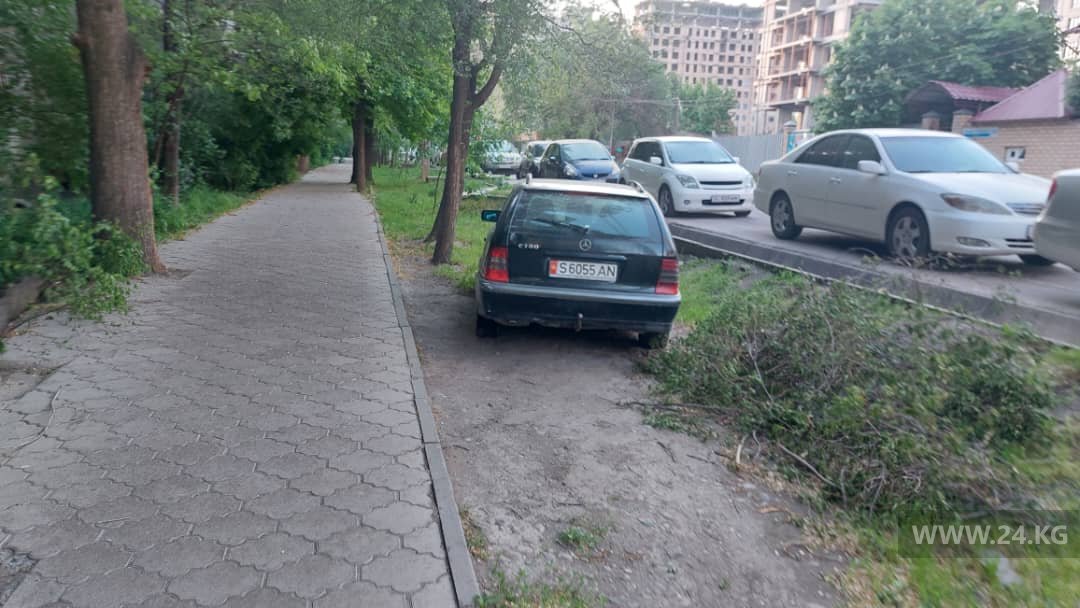 Чудаки парковки