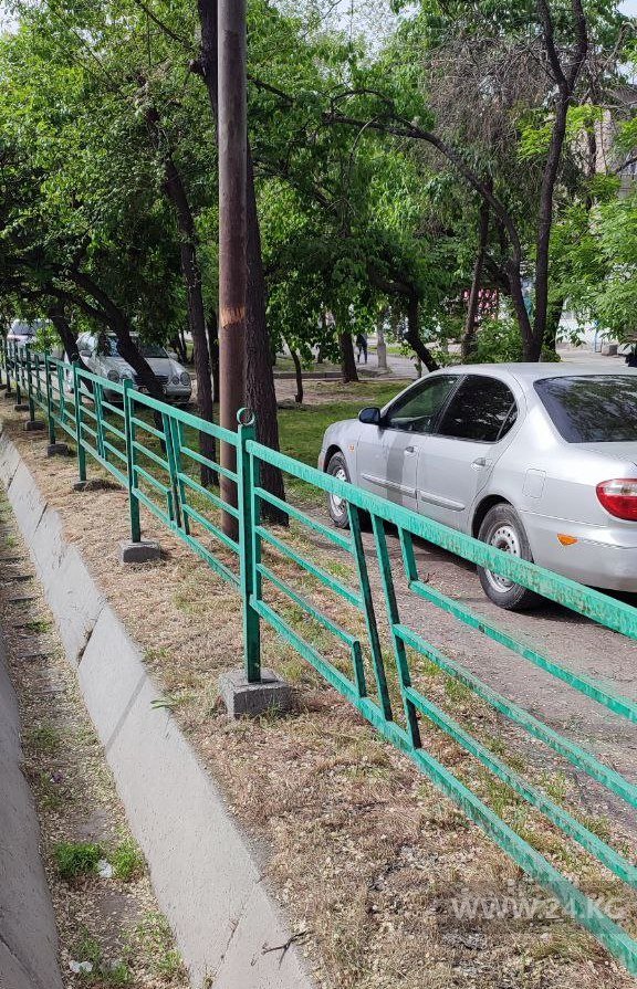 Чудаки парковки