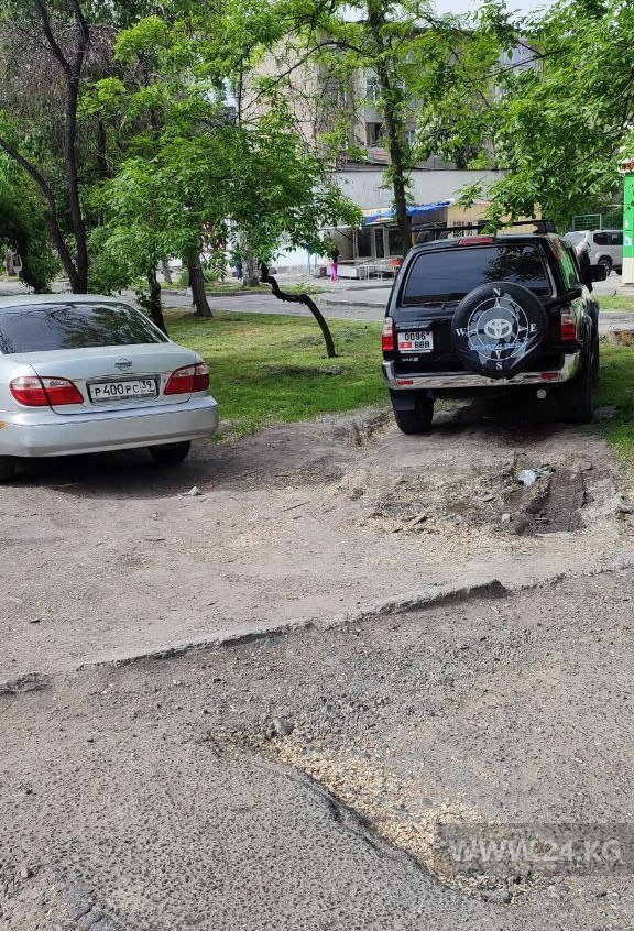 Чудаки парковки