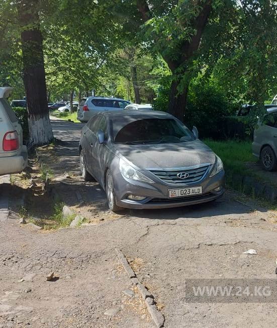 Чудаки парковки