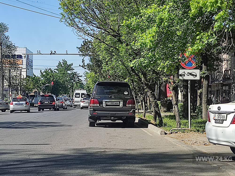 Чудаки парковки