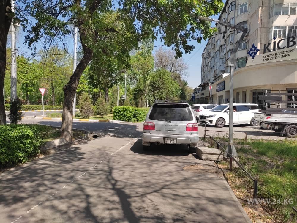 Чудаки парковки