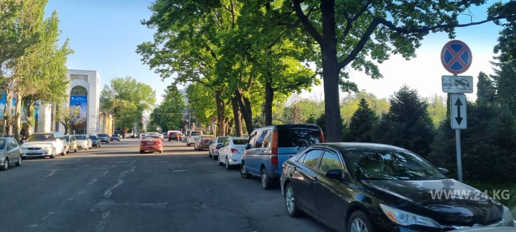 Чудаки парковки