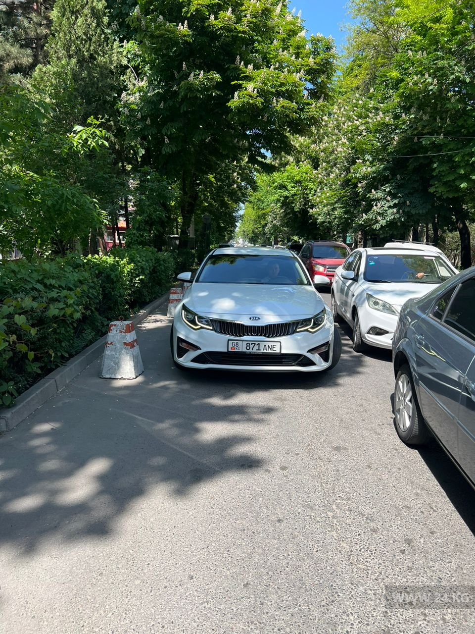 Чудаки парковки