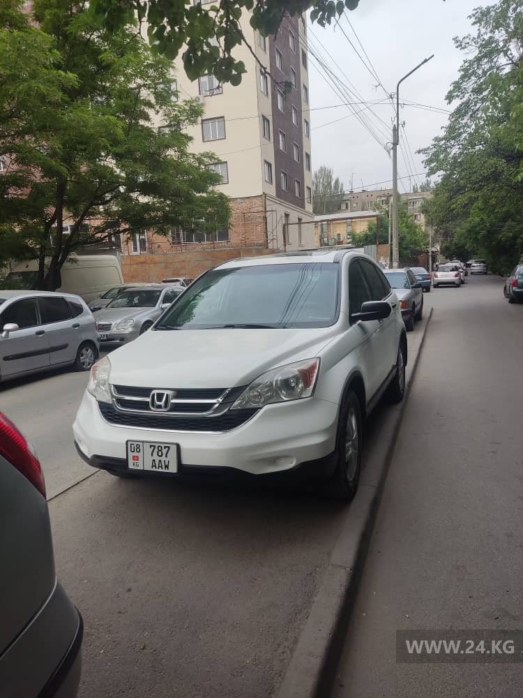 Чудаки парковки