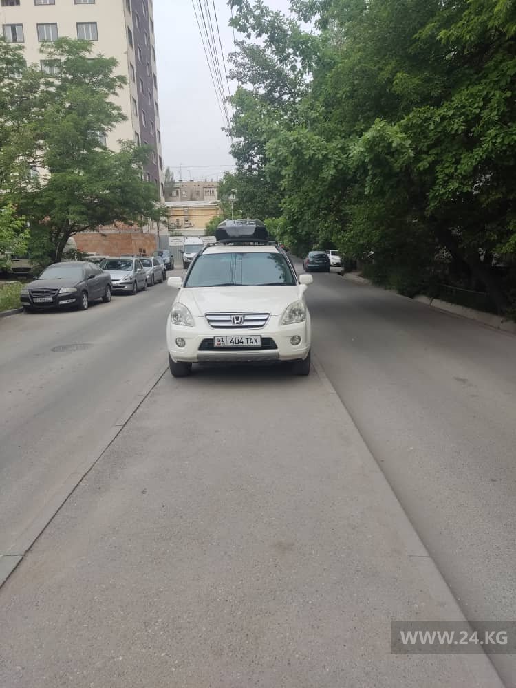 Чудаки парковки