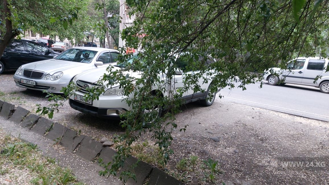Чудаки парковки