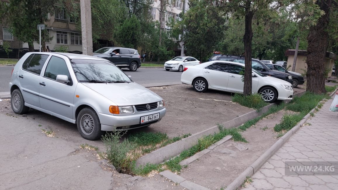 Чудаки парковки