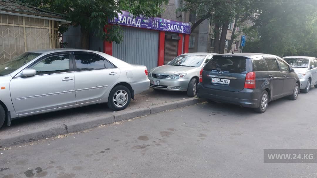 Чудаки парковки