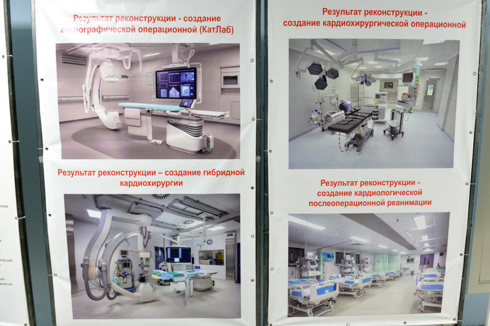 План разработки сердечно-сосудистого кластера