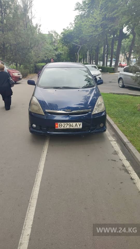 Чудаки парковки