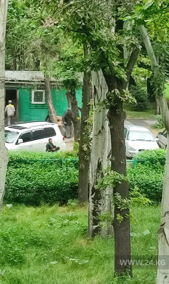 Чудаки парковки