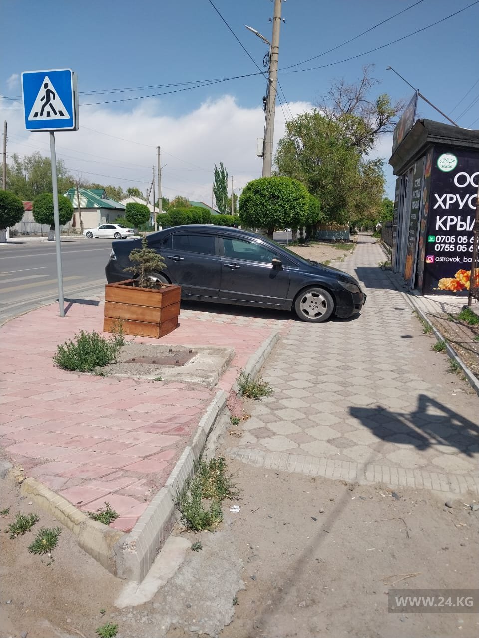 Чудаки парковки