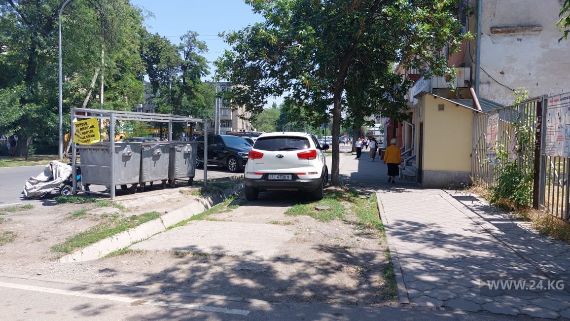 Чудаки парковки
