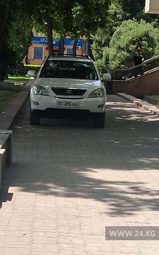 Чудаки парковки