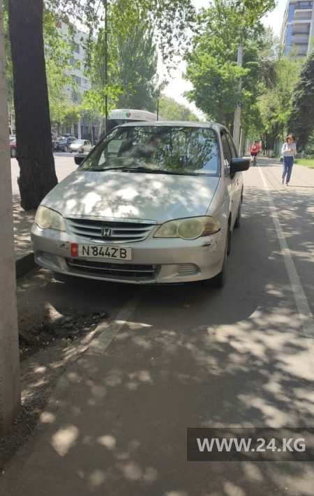 Чудаки парковки