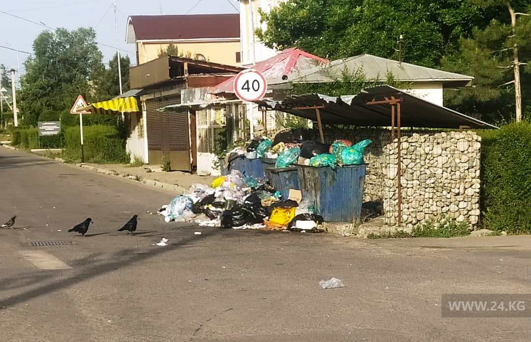 Контейнеры для бытовых отходов