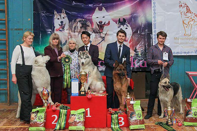 Победители на выставке собак