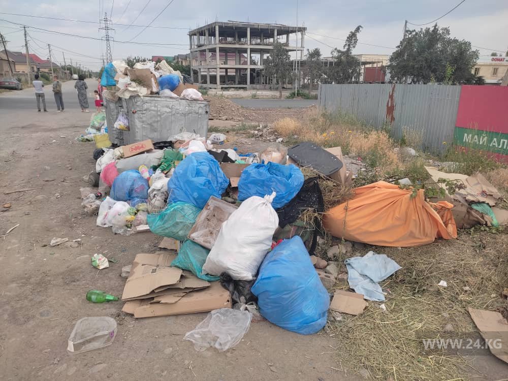 Жители столицы жалуются на завалы мусора