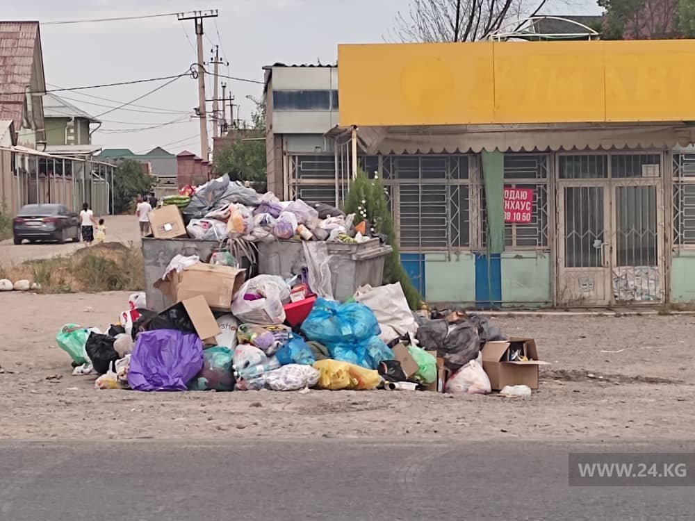 Жители столицы жалуются на завалы мусора