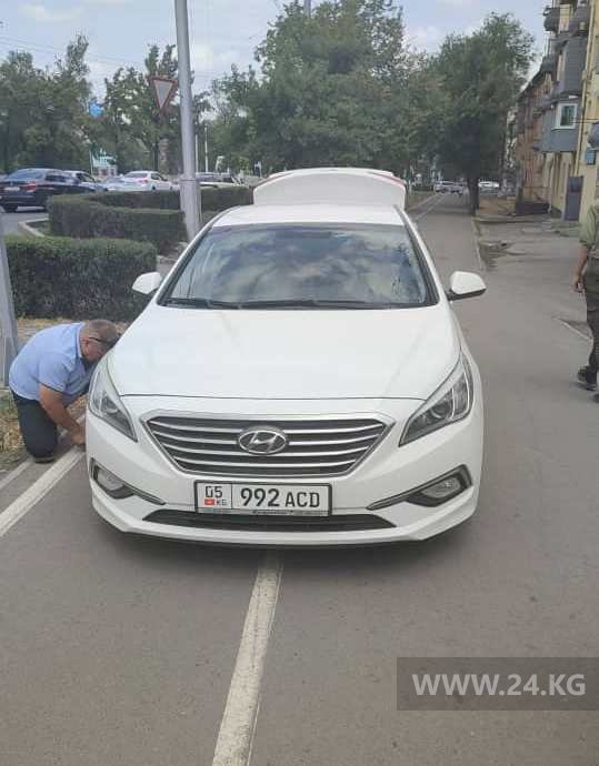 Чудаки парковки
