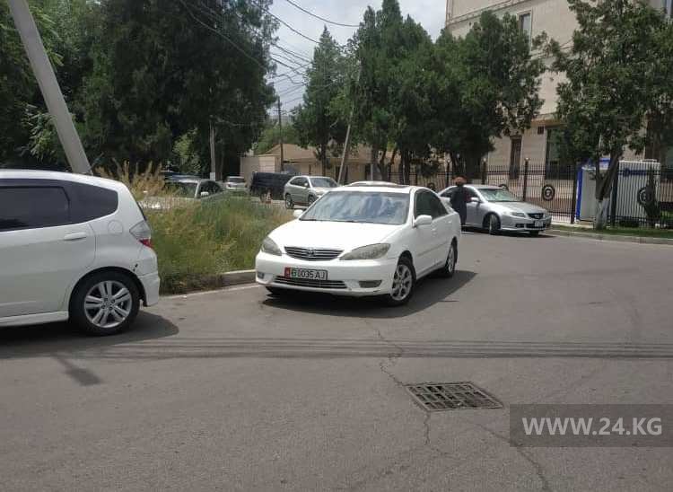 Чудаки парковки