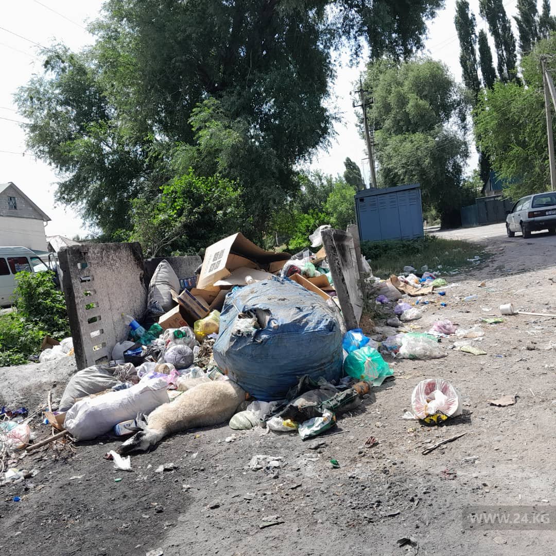 Село Пригородное